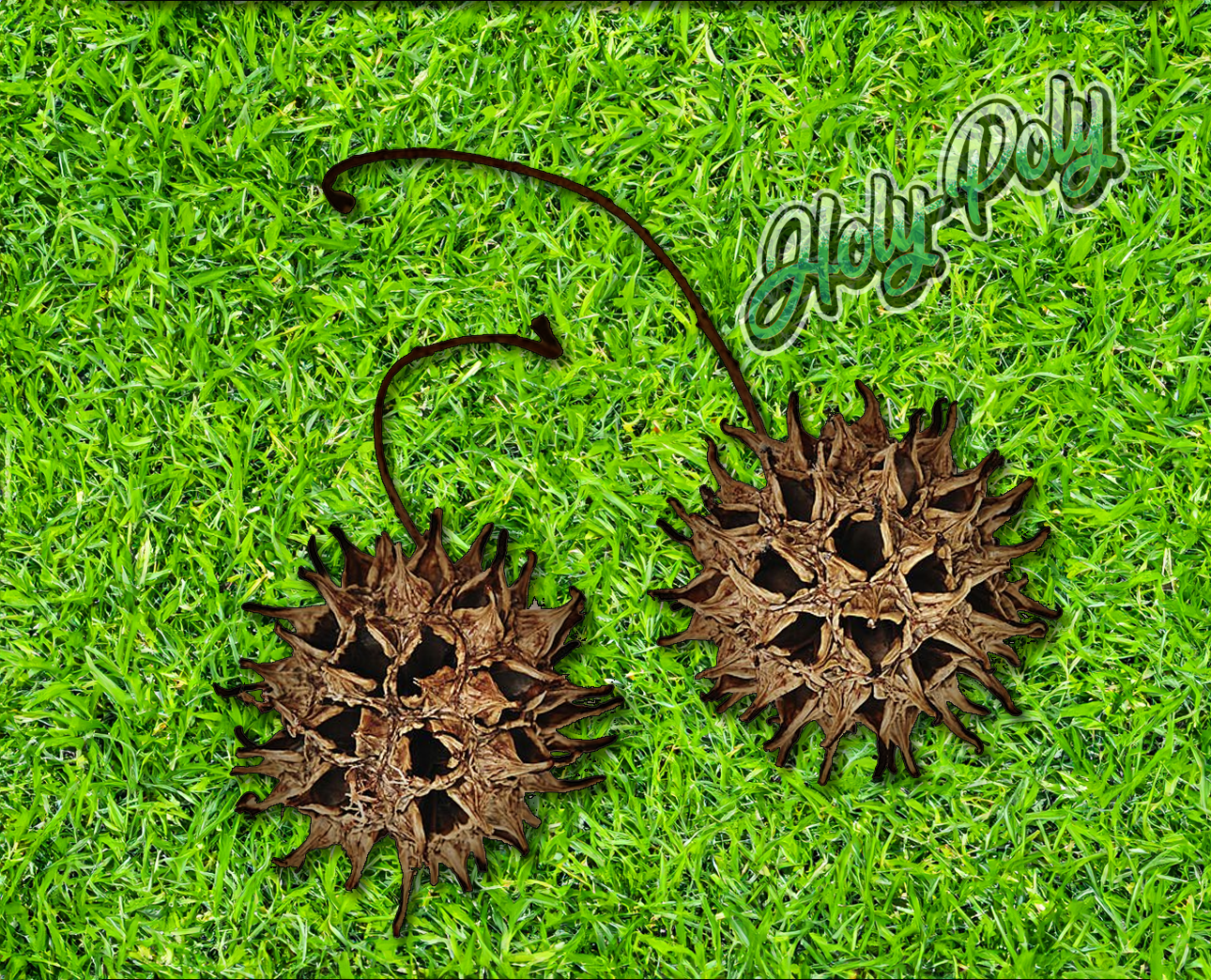 sweetgum herbicide Sweetgum Seed Pods