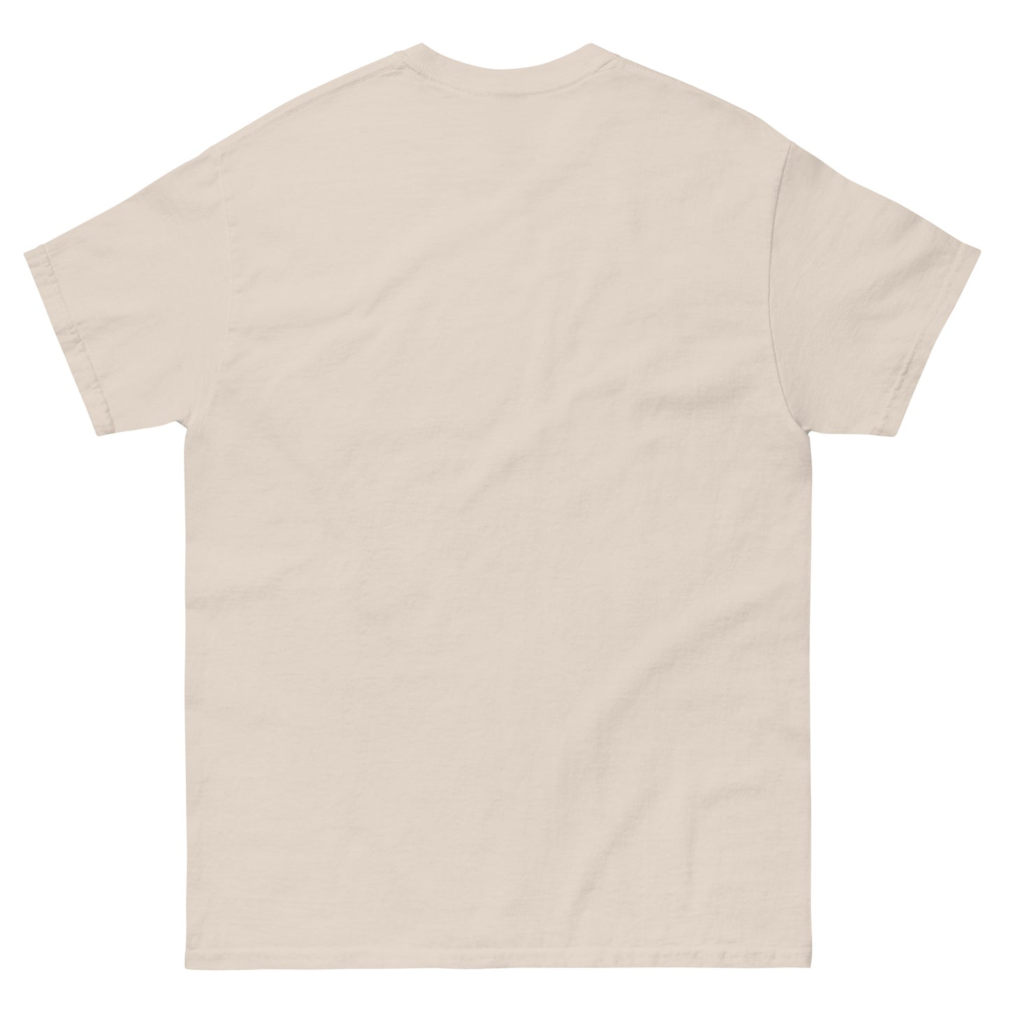 ¡¡¡Santas rocas polivinílicas!!! Camiseta