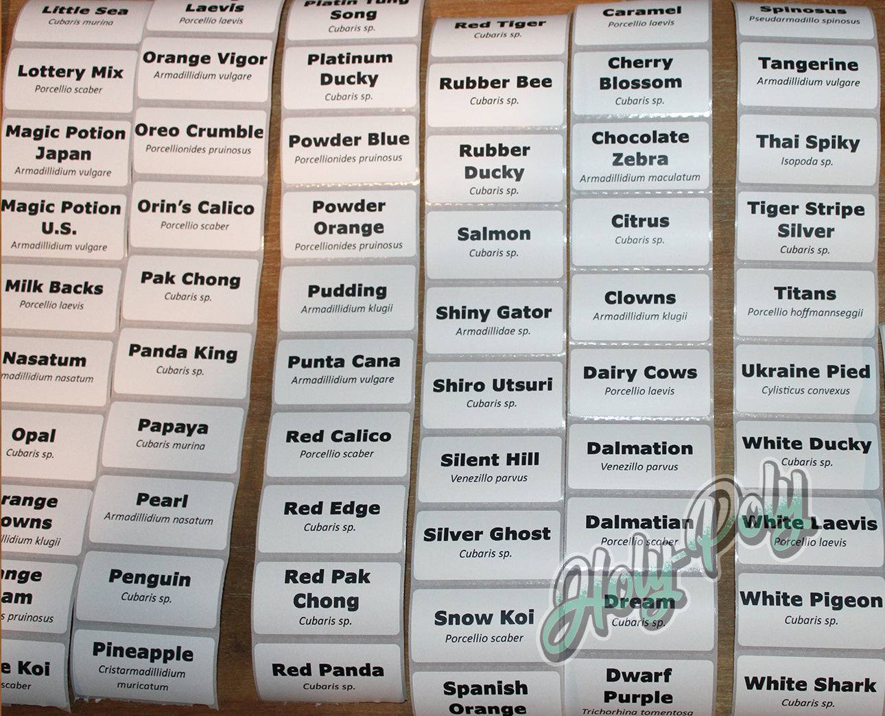 Preprinted 2x1 direct thermal isopod and springtail species labels for culture and breeder containers