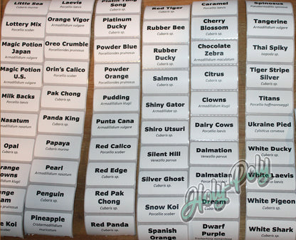 Preprinted 2x1 direct thermal isopod and springtail species labels for culture and breeder containers