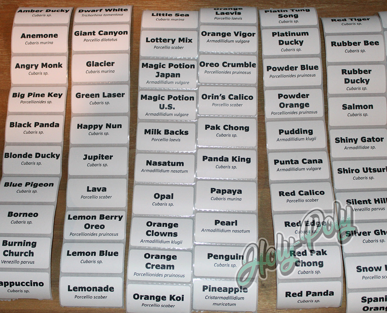 2x1 white thermal isopod species ID labels for breeder bins, culture cups, and sale containers