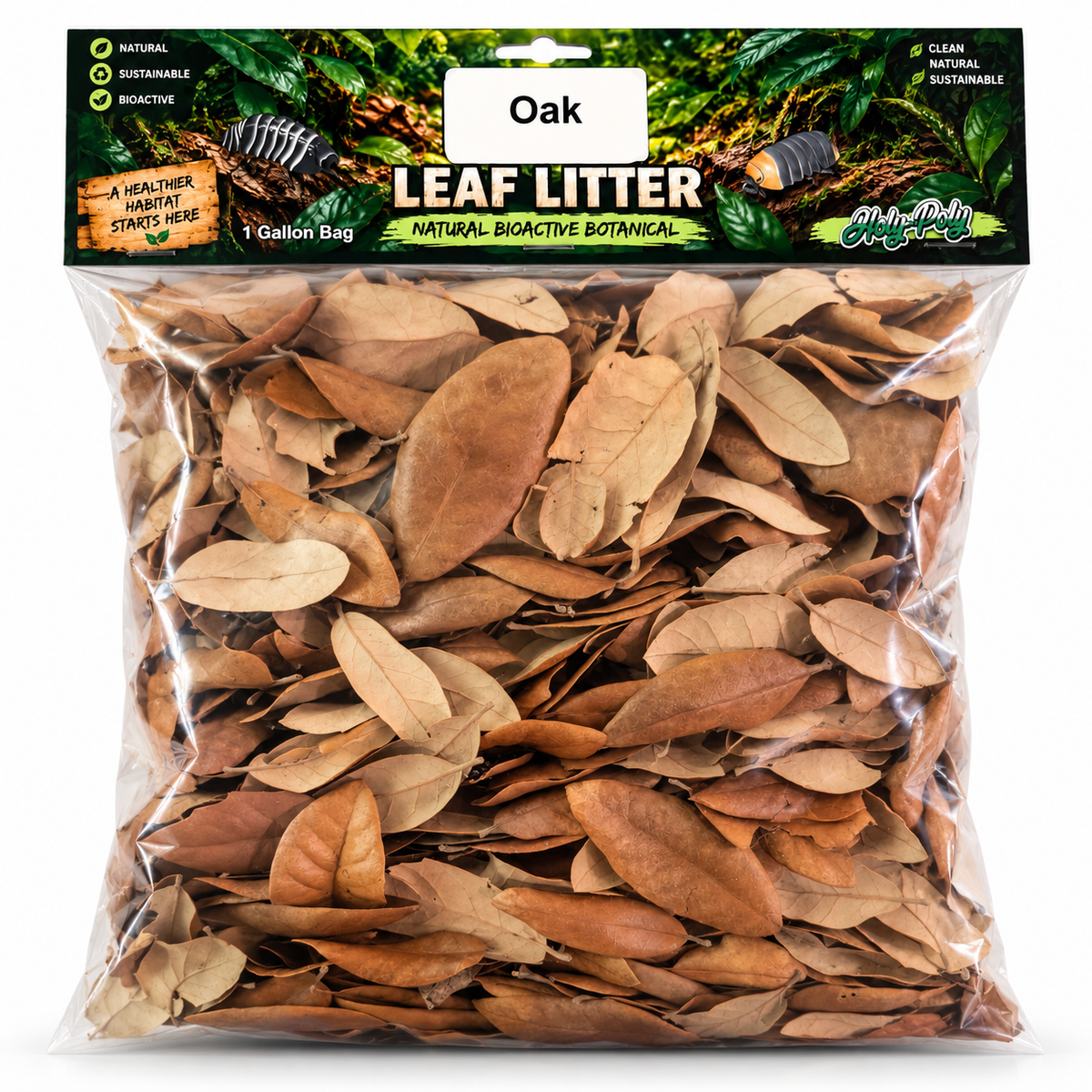 Oak Leaf Litter 1 Gallon Bag for Isopods, Reptiles & Bioactive Terrariums | Holy-Poly Isopods