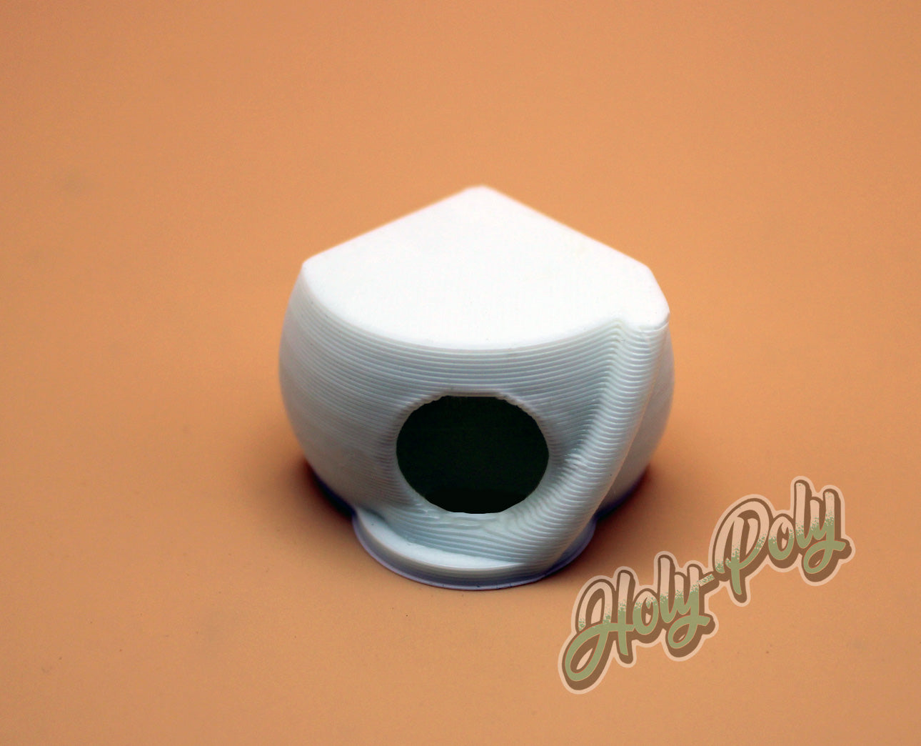 Holy-Poly Isopods Jumping Spider Hut for sale spood jumper white paintable