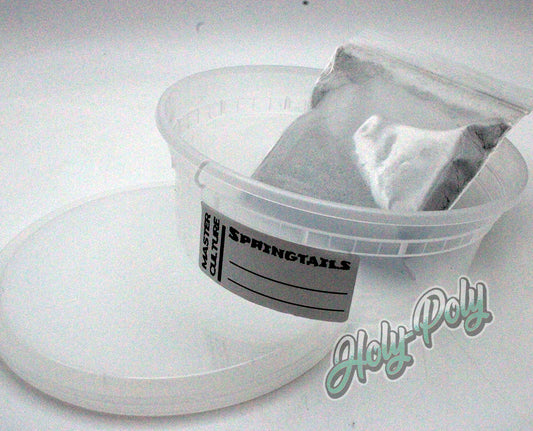 DIY springtail master culture kit with Holy-Poly Calcium Clay, 8 oz culture cup and springtail supplies