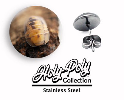 opal Isopod Stainless Stud Earrings (Rollie Pollie Roly Poly pillbug pet isopoda)